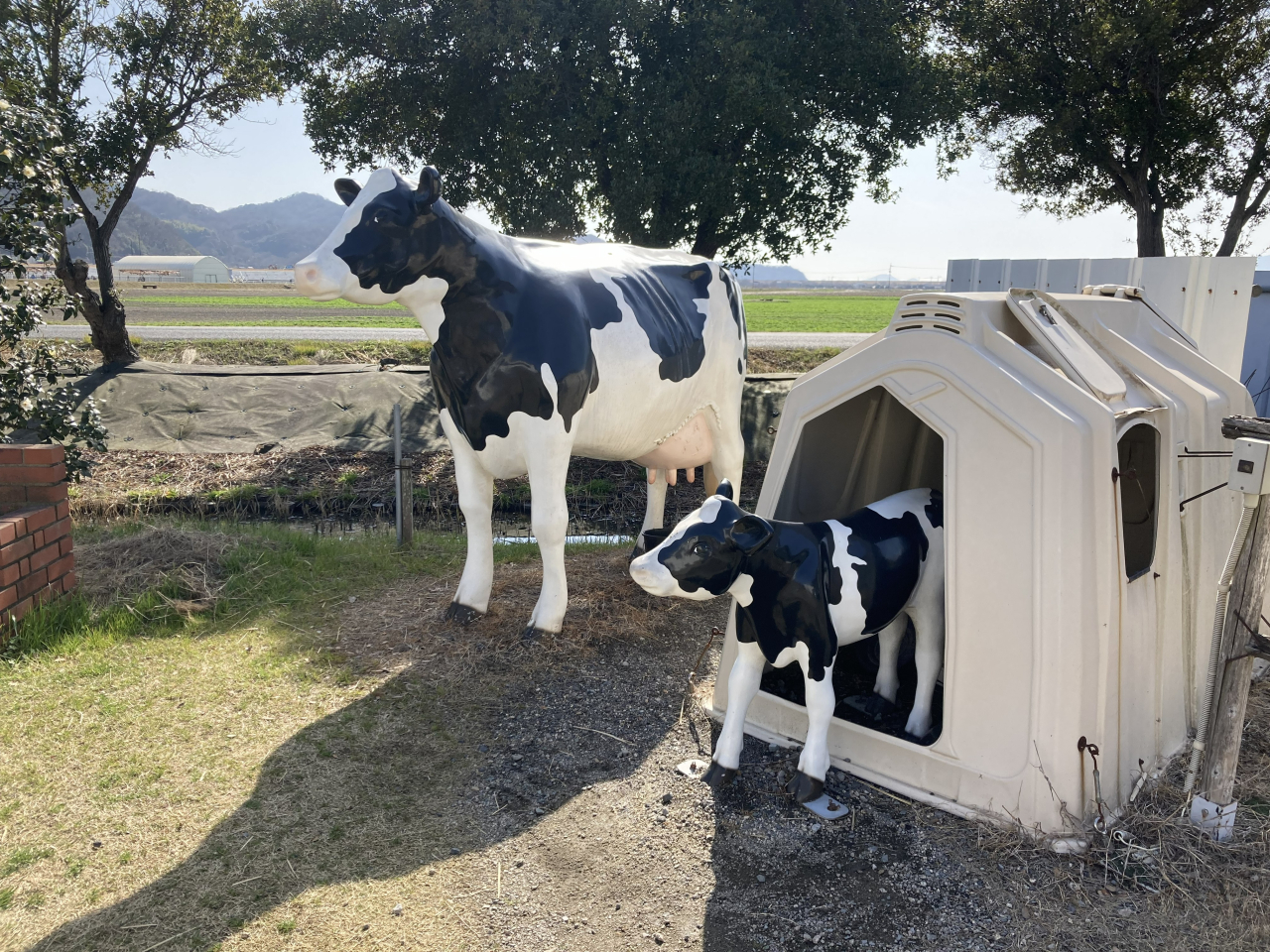 アイスクリーム